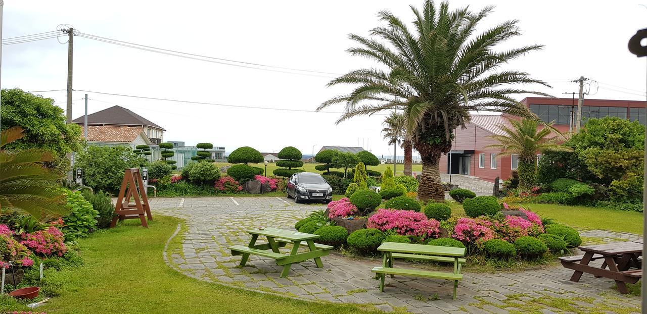 Jeju Again Olle Pension Ngoại thất bức ảnh