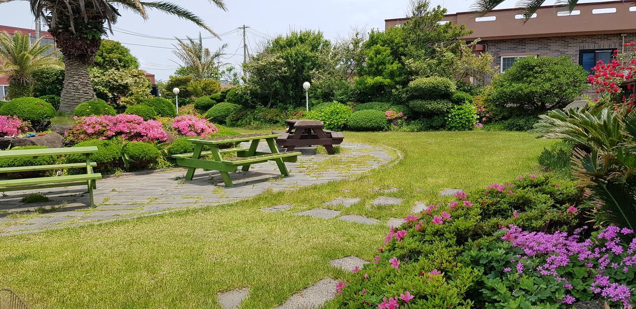 Jeju Again Olle Pension Ngoại thất bức ảnh