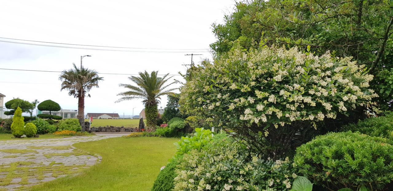 Jeju Again Olle Pension Ngoại thất bức ảnh