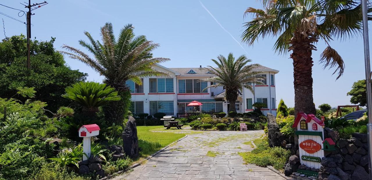 Jeju Again Olle Pension Ngoại thất bức ảnh